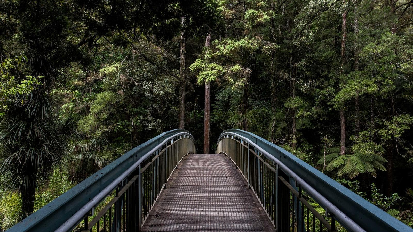 Featured image for: Buying Near the Ping River After the 2024 Floods